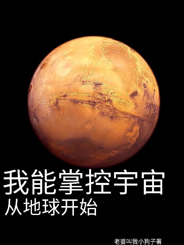 我能控制世界小说