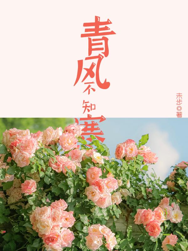 青风动漫社