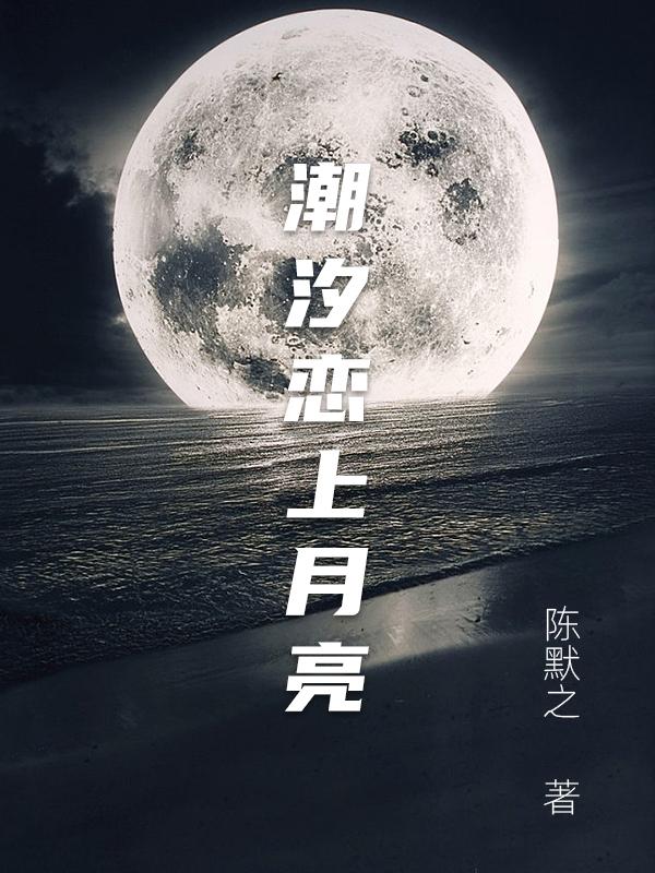 潮汐恋上月亮歌词意思