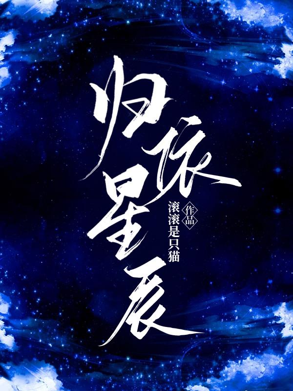 小说归星