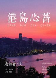 港岛心蔷txt